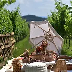 Villa Vass Vendeghaz Es Pinceszet