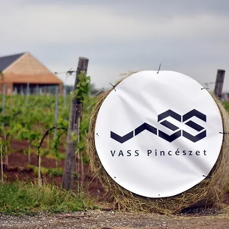 Vass Vendeghaz Es Pinceszet Vila *