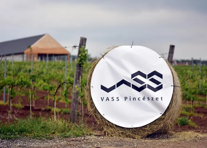 Vass és Pincészet Villa *