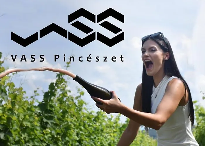 Vass és Pincészet *